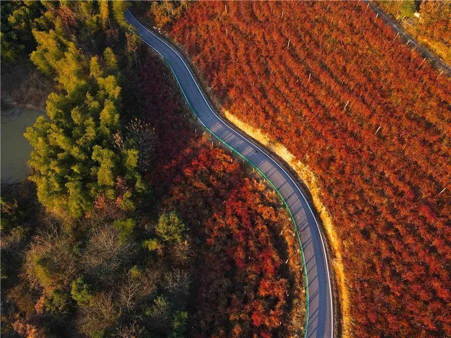 廬江縣集資源路、產(chǎn)業(yè)路、旅游路于一體的“廬南川藏線”。合肥市交通運輸局供圖